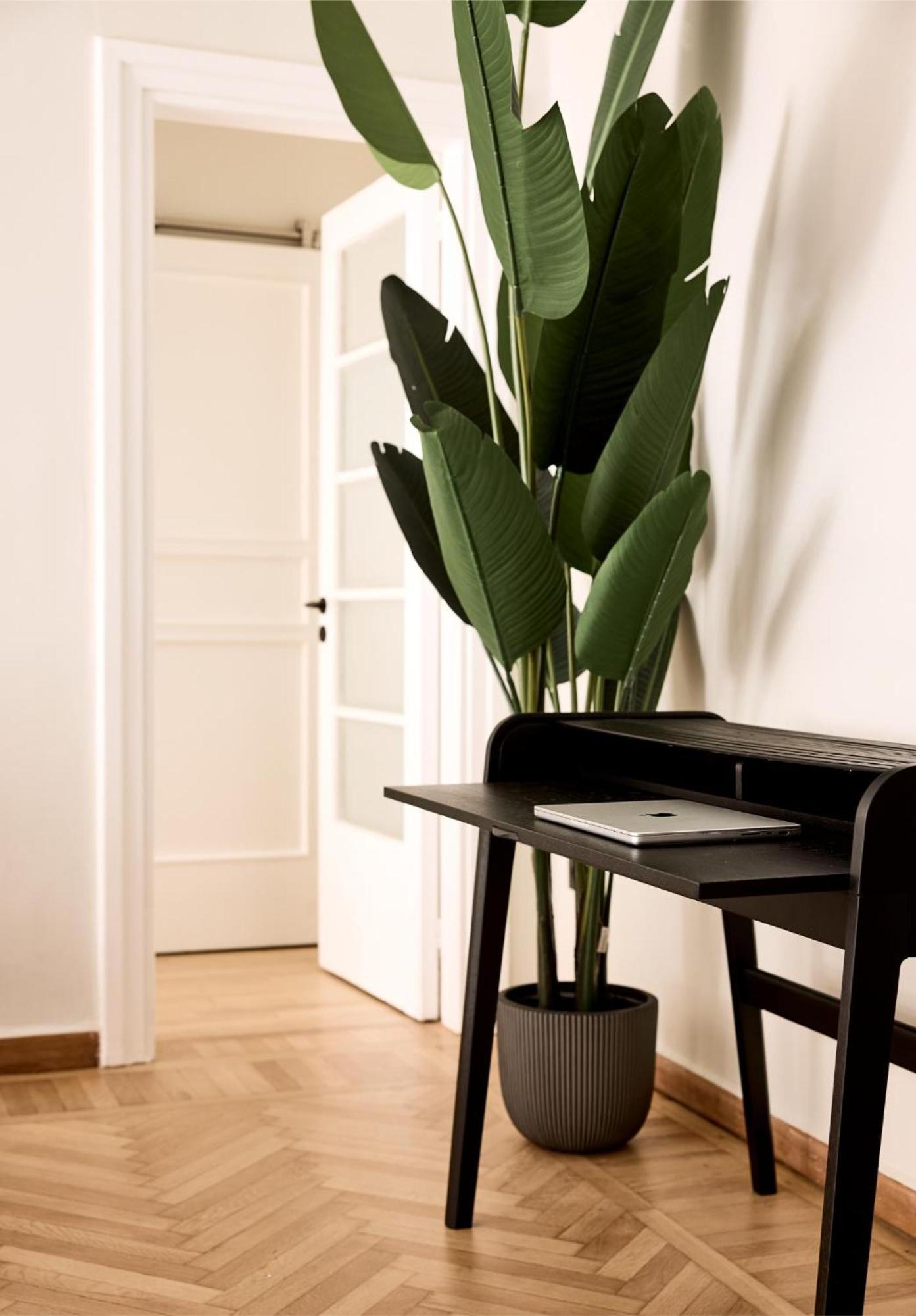 Lime Residences, Syntagma By Aura Homes Atenas Habitación foto